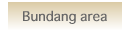 Bundang Area