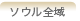 ソウル全域